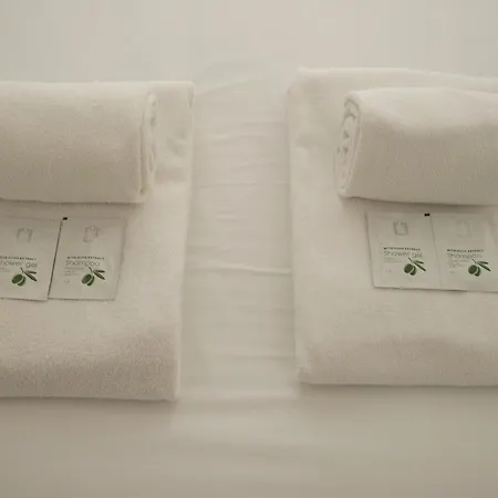 Design By Hosty Queluz