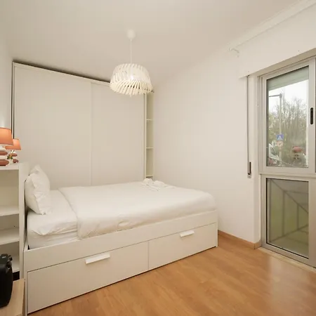 Design By Hosty Queluz