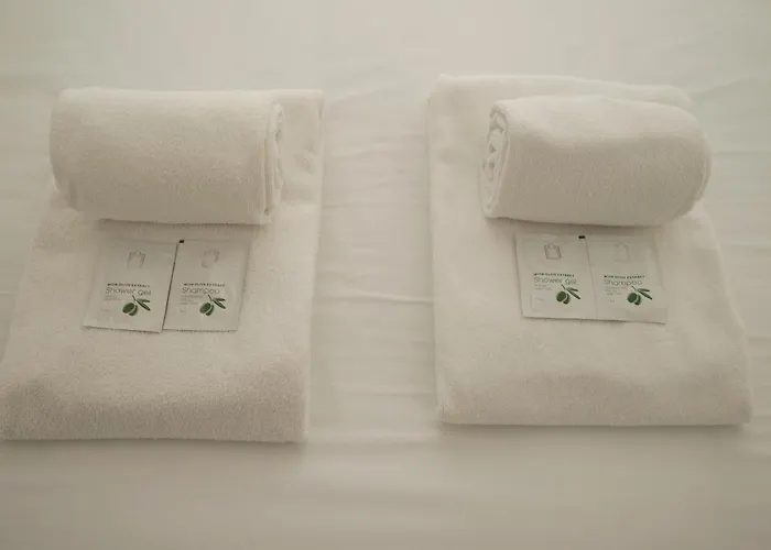 Design By Hosty Queluz