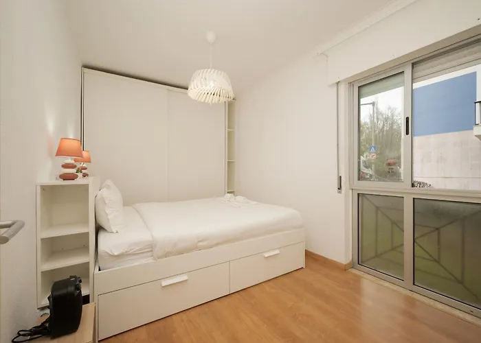 Design By Hosty Queluz